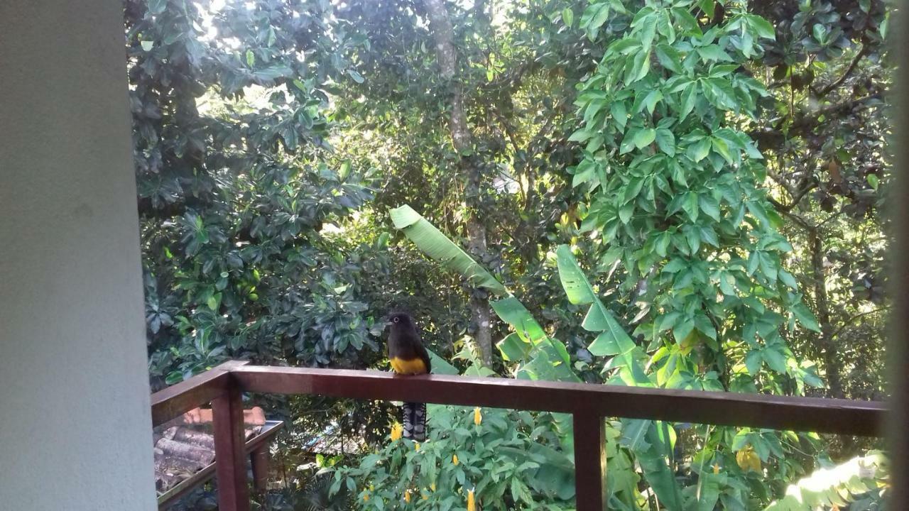 Bed and Breakfast Pitanga Ilha Grande Экстерьер фото